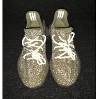 Yeezy Boost 350 V2 Antlia Reflective